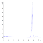 Human PLAU/uPA Protein C-His Tag (active form) BP004382 Syd Labs
