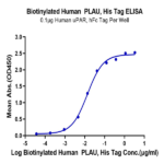 Biotinylated Human PLAU/uPA Protein (active form) BP004328 Syd Labs