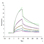 Biotinylated Mouse PLAU/uPA Protein BP004194 Syd Labs