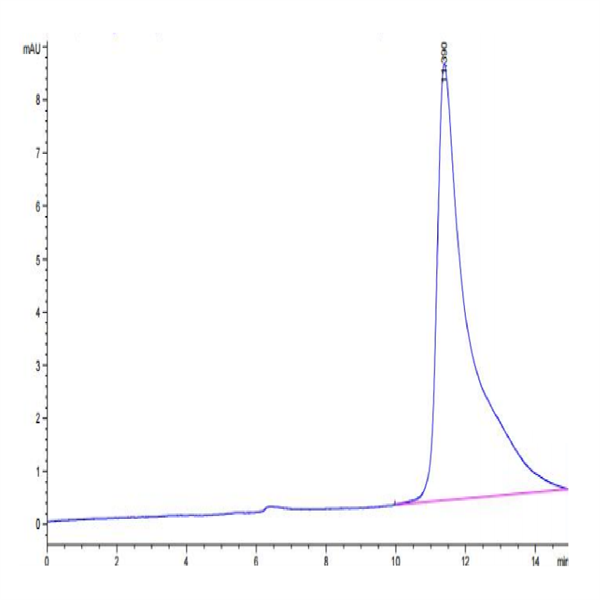 Biotinylated Mouse PLAU/uPA Protein (PLA-MM401B)