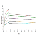Human PRLR Protein BP004885 Syd Labs