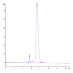 Mouse PILRA Protein BP004479 Syd Labs