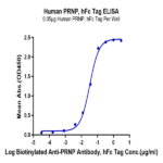 Human PRNP Protein BP004538 Syd Labs