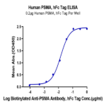 Human PSMA/FOLH1 Protein BP004982 Syd Labs