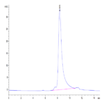 Mouse PSMA/FOLH1 Protein BP004922 Syd Labs