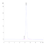 Biotinylated Mouse PSMA/FOLH1 Protein (Primary Amine Labeling) BP003638 Syd Labs
