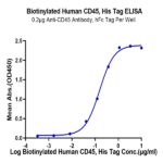 Biotinylated Human CD45/PTPRC Protein BP004949 Syd Labs
