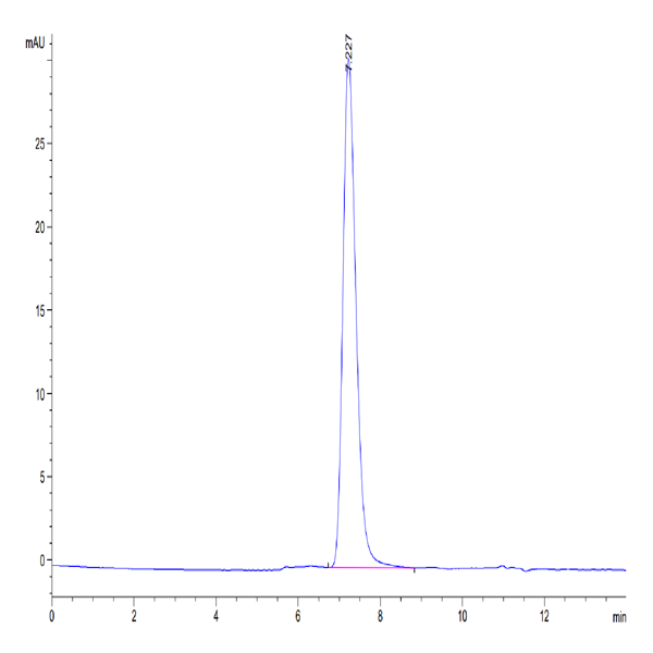 Biotinylated Human CD45/PTPRC Protein (PTP-HM404B)
