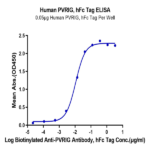 Human PVRIG Protein BP003742 Syd Labs