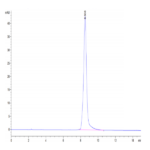 Mouse AGER Protein BP004174 Syd Labs