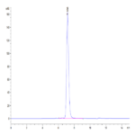 Human RETN Protein BP004674 Syd Labs