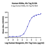 Human RGMa Protein BP005602 Syd Labs