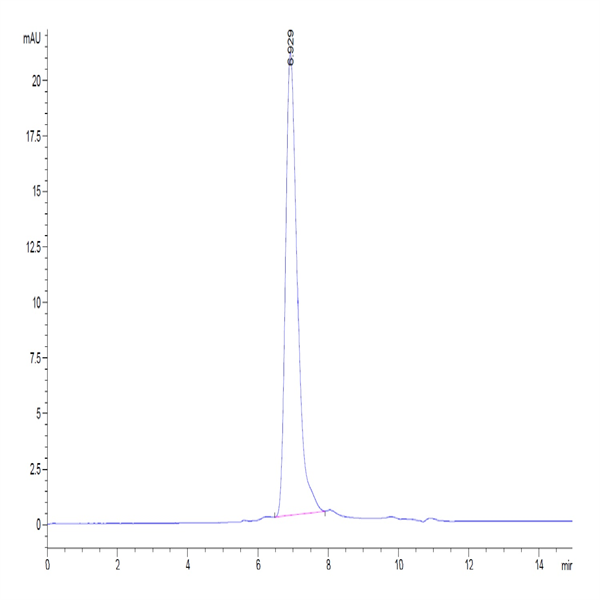 Human RGMa Protein (RGM-HM401)