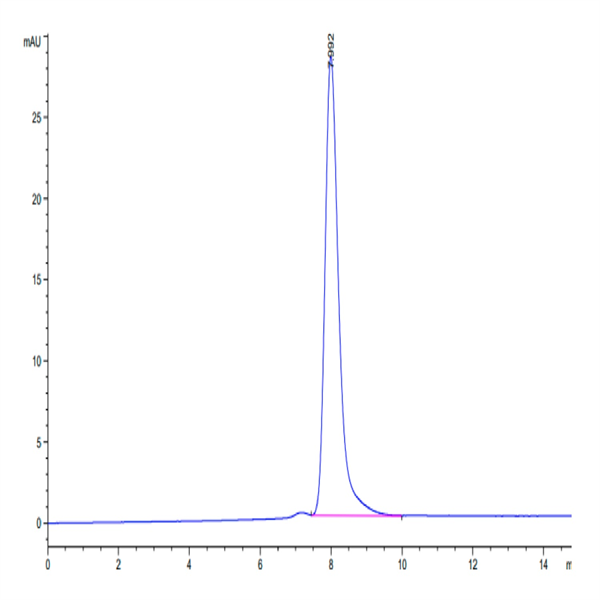 Human RNF43 Protein (RNF-HM234)