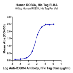 Human ROBO4 Protein BP004850 Syd Labs