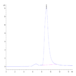 Mouse ROBO4 Protein BP004883 Syd Labs