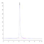 Canine ROR1 Protein BP004293 Syd Labs