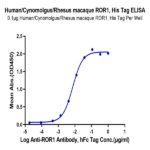 Human/Cynomolgus/Rhesus macaque ROR1 (39-151, Ig-like Domain) Protein BP004422 Syd Labs