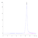 Human/Cynomolgus/Rhesus macaque ROR1 (308-395, Kringle Domain) Protein BP004774 Syd Labs