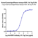 Human/Cynomolgus/Rhesus macaque ROR1 (30-305,Ig-like&Frizzled Domain) Protein BP004165 Syd Labs