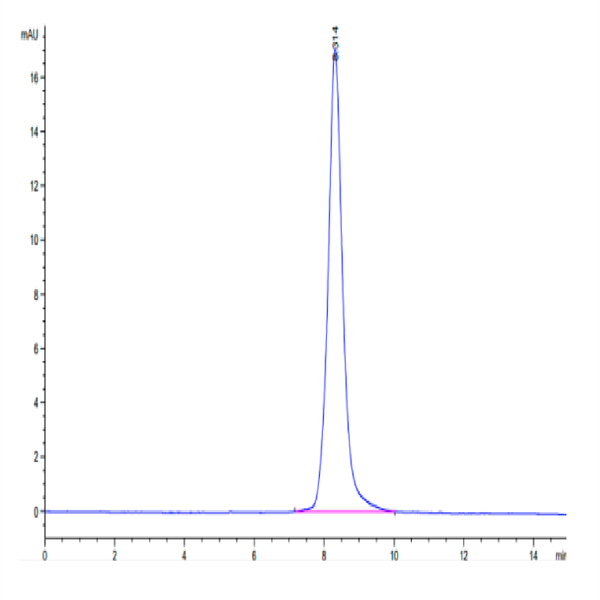 Human/Cynomolgus/Rhesus macaque ROR1 (30-305,Ig-like&Frizzled Domain) Protein (ROR-HM1IF)