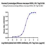 Human/Cynomolgus/Rhesus macaque ROR1 Protein BP005484 Syd Labs