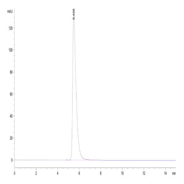 Human/Cynomolgus/Rhesus macaque ROR1 Protein (ROR-HM201)