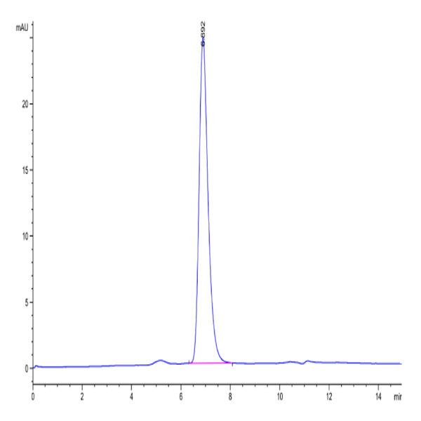 Human/Cynomolgus/Rhesus macaque ROR1 Protein (ROR-HM401)