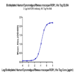 Biotinylated Human/Cynomolgus/Rhesus macaque ROR1 Protein BP005675 Syd Labs