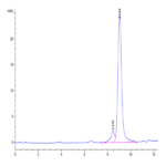 Canine S100A9/MRP14 Protein BP004190 Syd Labs