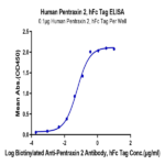 Human Pentraxin 2/SAP Protein BP004527 Syd Labs