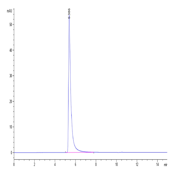 SARS Spike S1 Protein (SAR-VM5S1)