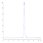 Human SELL/CD62L Protein BP004605 Syd Labs