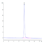 Human SEMA4B Protein BP004458 Syd Labs