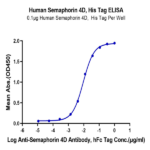 Human Semaphorin 4D/SEMA4D/CD100 Protein BP005743 Syd Labs