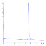 Rat Serpina3n Protein BP003252 Syd Labs