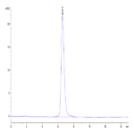 Human SEZ6L2 Protein BP004405 Syd Labs