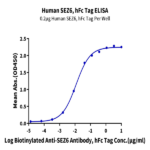 Human SEZ6 Protein BP003376 Syd Labs