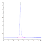 Mouse SEZ6L2 Protein BP004408 Syd Labs