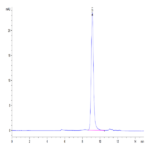 Human Serpin F1/PEDF Protein BP004661 Syd Labs