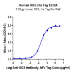 Human SG3/Secretogranin 3 Protein BP004805 Syd Labs