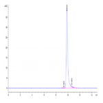 Human Sonic Hedgehog (Shh) Protein BP003801 Syd Labs