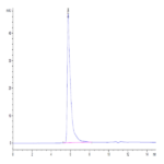 Human Siglec-8 Protein BP005459 Syd Labs