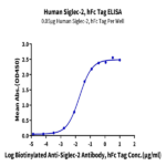 Human Siglec-2/CD22 Protein BP005325 Syd Labs