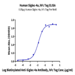 Human Siglec-4a/MAG Protein BP005458 Syd Labs