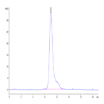 Human Siglec-5/CD170 Protein BP005463 Syd Labs