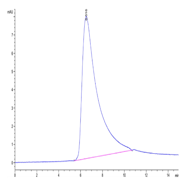 Biotinylated Human Siglec-2/CD22 Protein (SIG-HM412B)