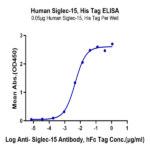 Human Siglec-15/CD33L3 Protein BP005352 Syd Labs