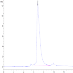 Human Siglec-15/CD33L3 Protein (SIG-HM415)