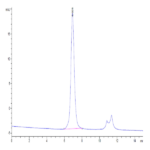 Human Siglec-9 Protein BP005452 Syd Labs